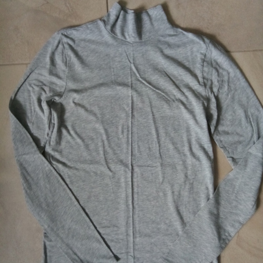 Everlane pima stretch turtleneck